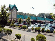 Strip Mall